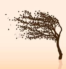 Stress e psicosomatica