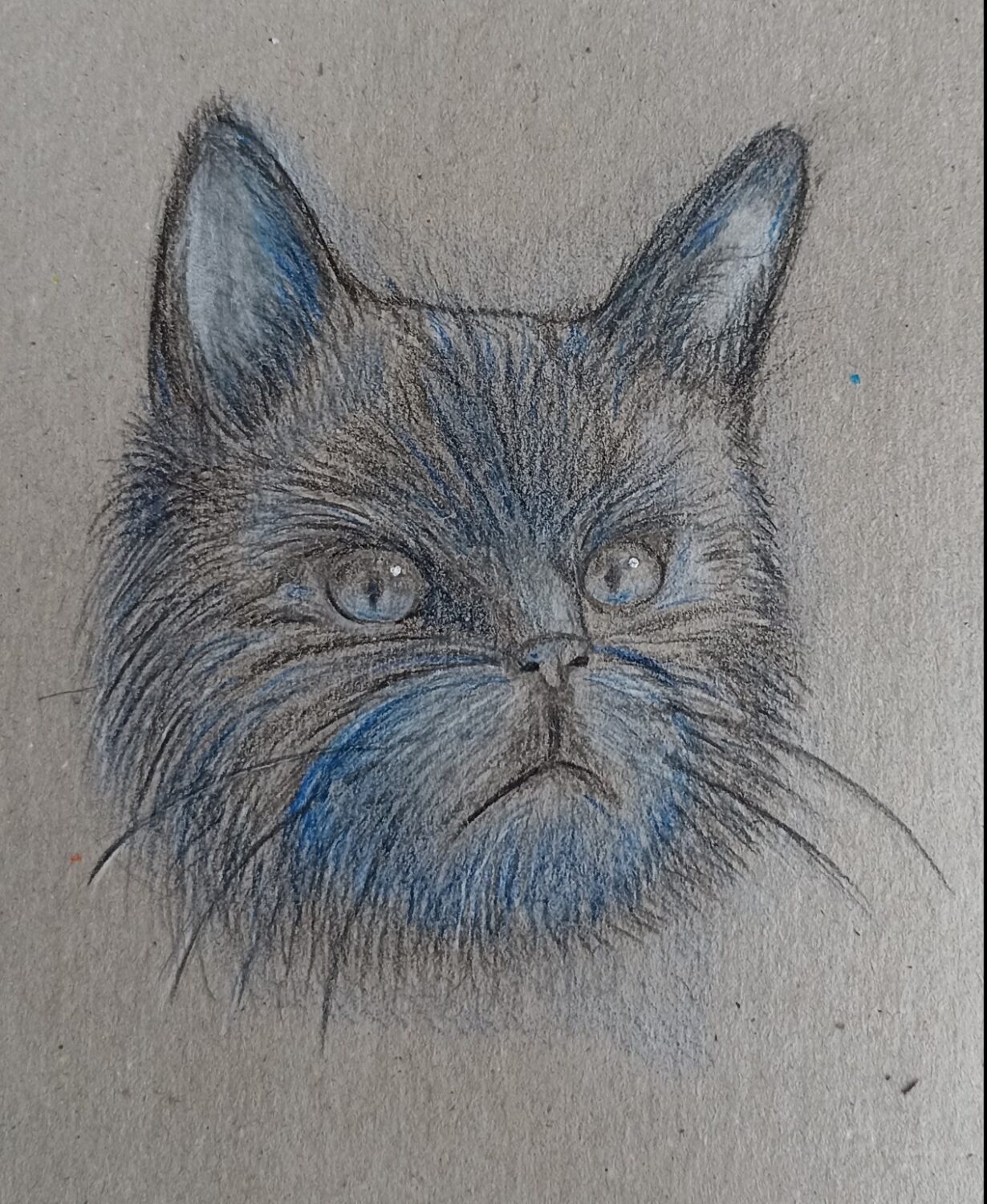Paura dei gatti
